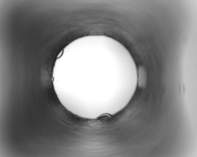 X0000088691491200706211917