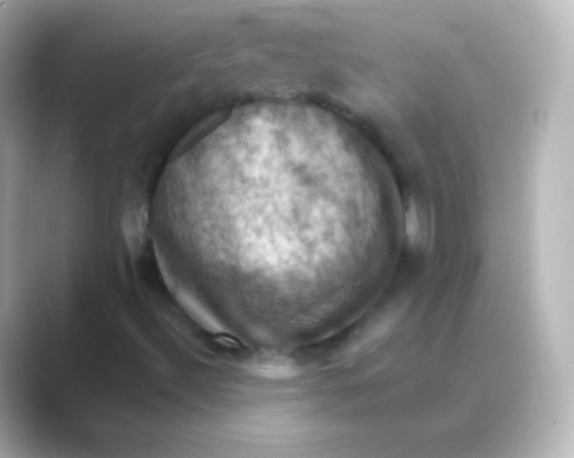 X0000088691492200706211917