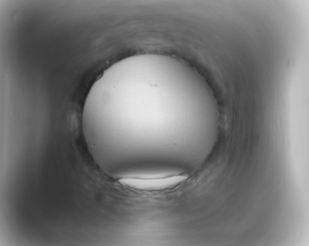 X0000088691493200706211917