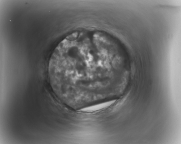 X0000088691494200706211917