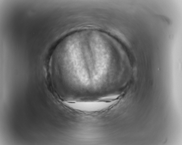 X0000088691496200706211917