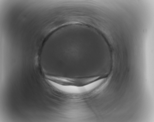 X0000088691497200706211917