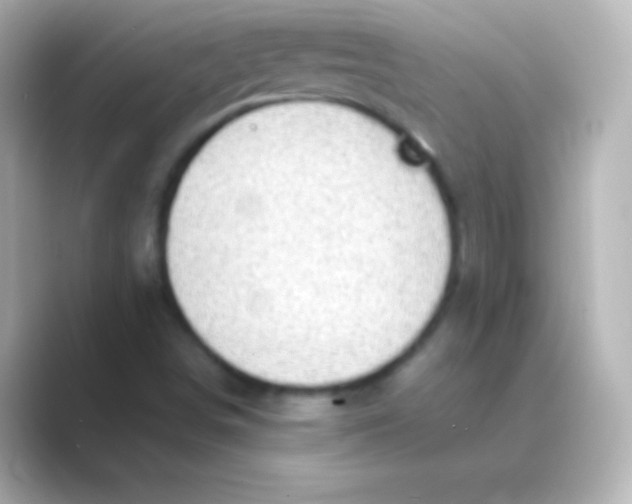X0000088691498200706211917