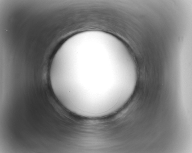 X0000088691499200706211917