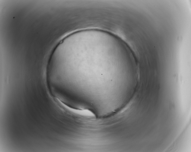 X0000088691500200706211917