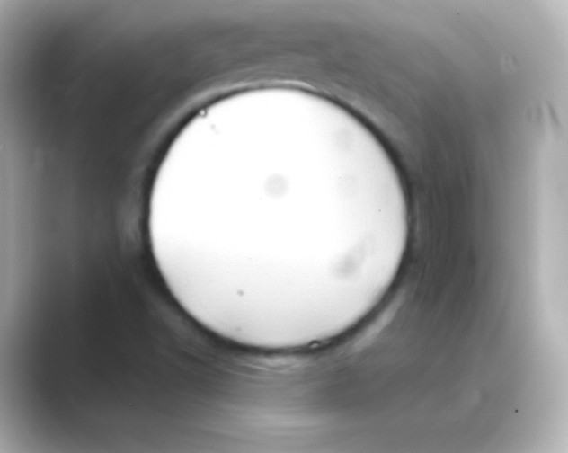 X0000088691502200706211917