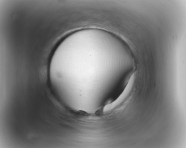 X0000088691503200706211917