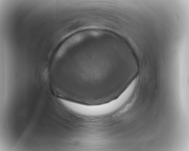 X0000088691505200706211917