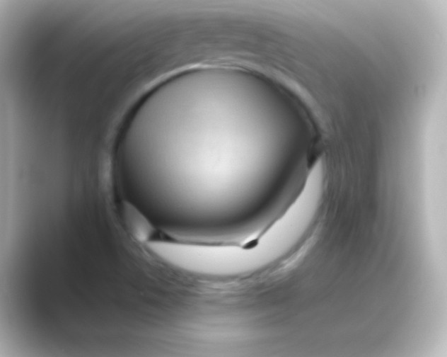 X0000088691506200706211917