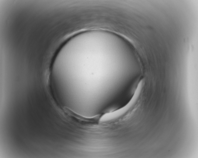 X0000088691507200706211917