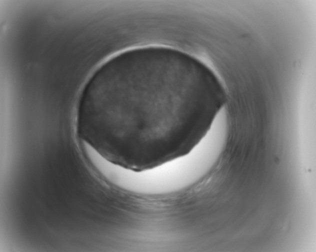 X0000088691508200706211917