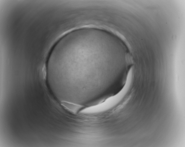 X0000088691509200706211917