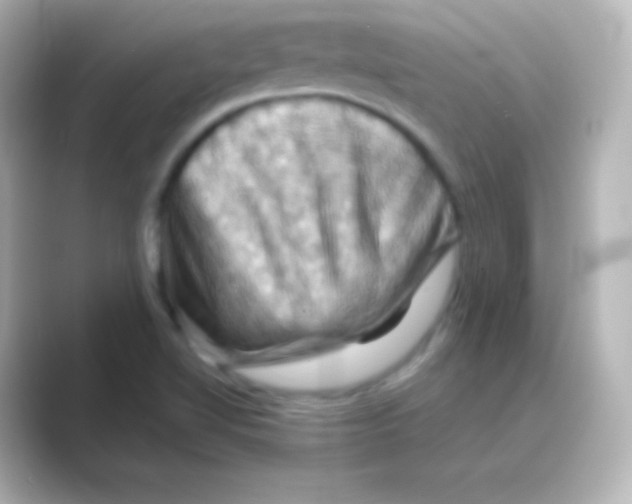 X0000088691510200706211917