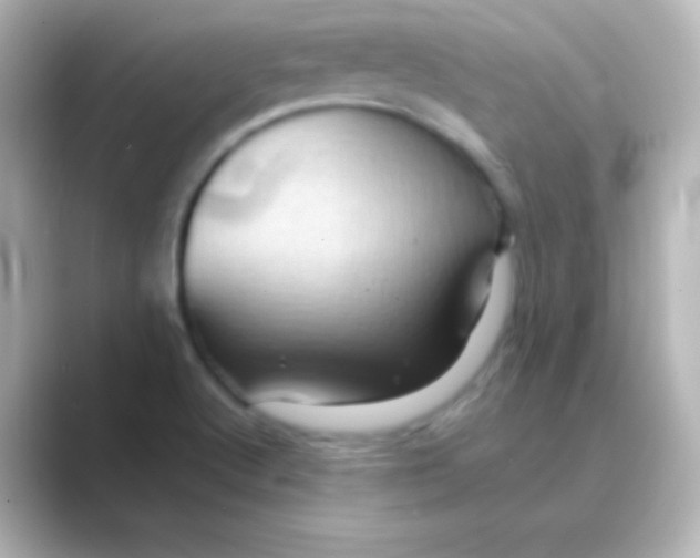 X0000088691512200706211917