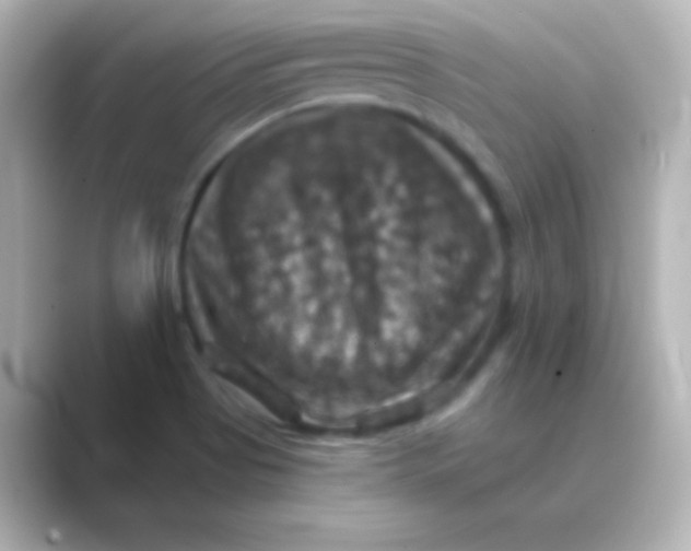 X0000088691513200706211917