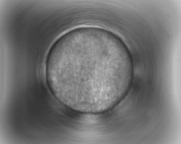 X0000088691514200706211917