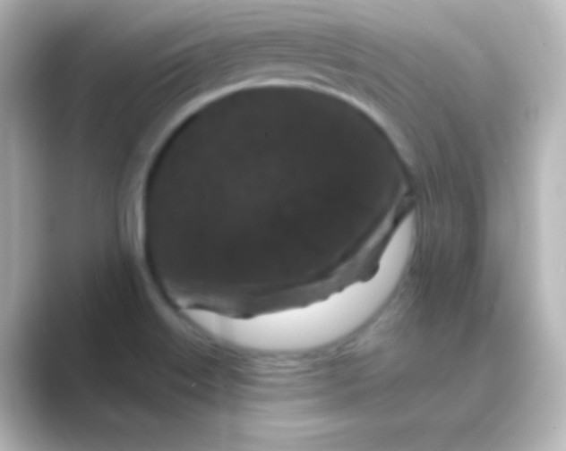 X0000088691515200706211917