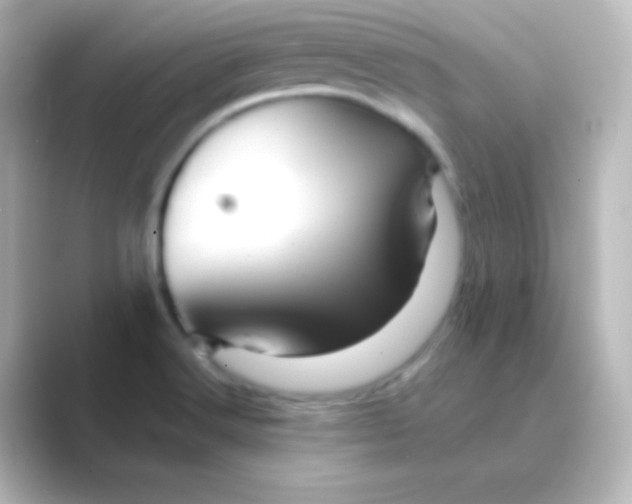 X0000088691516200706211917