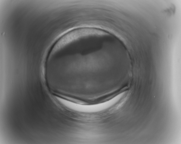 X0000088691517200706211917