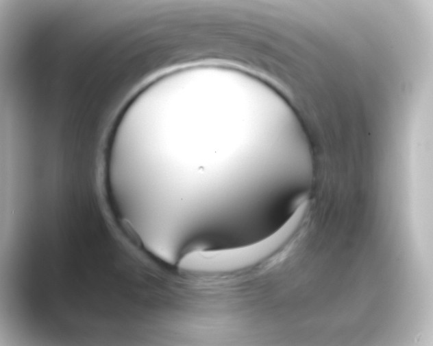 X0000088691518200706211917
