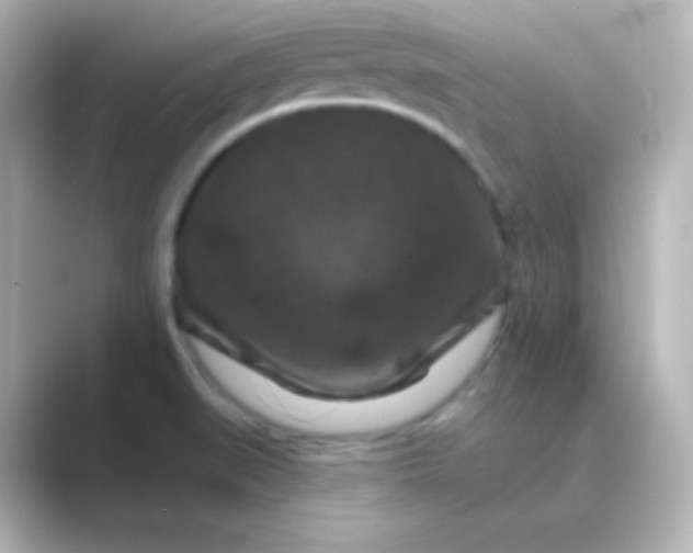 X0000088691519200706211917