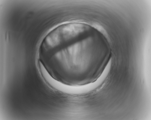 X0000088691520200706211917