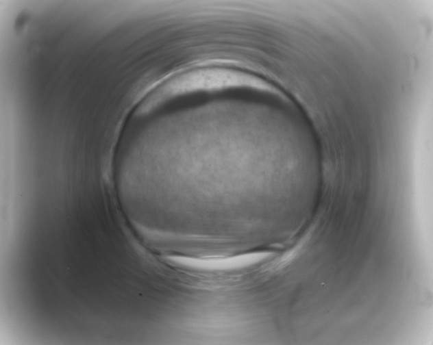 X0000088691521200706211917