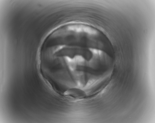 X0000088691522200706211917