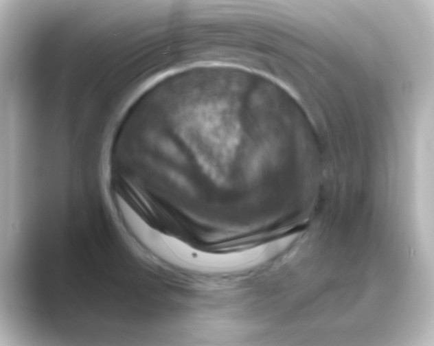 X0000088691523200706211917