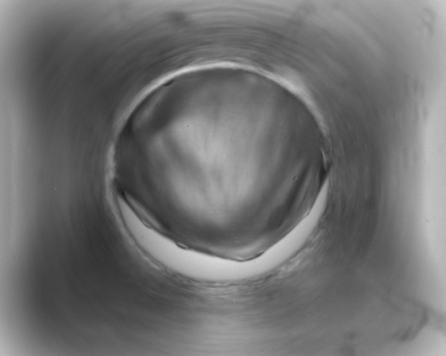 X0000088691524200706211918