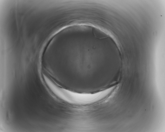 X0000088691525200706211918