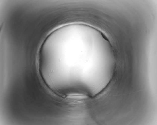 X0000088691526200706211918