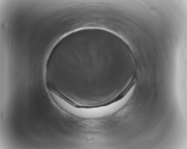 X0000088691527200706211918