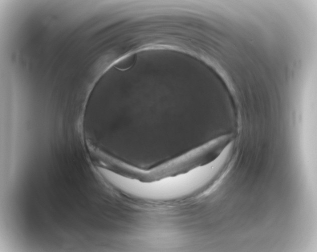 X0000088691529200706211918