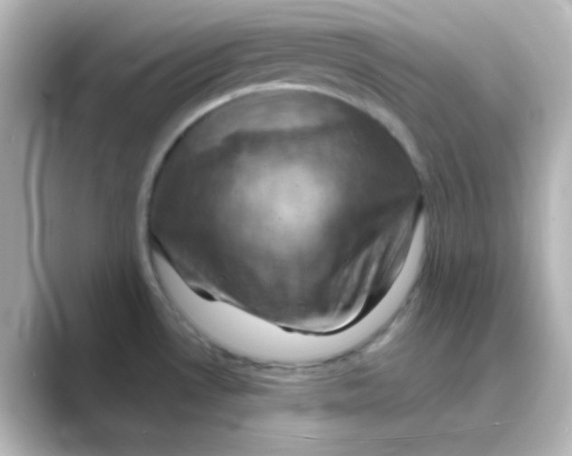 X0000088691530200706211918