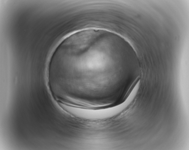 X0000088691531200706211918