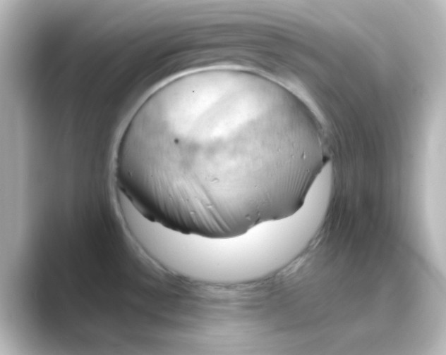 X0000088691532200706211918