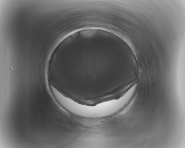 X0000088691533200706211918