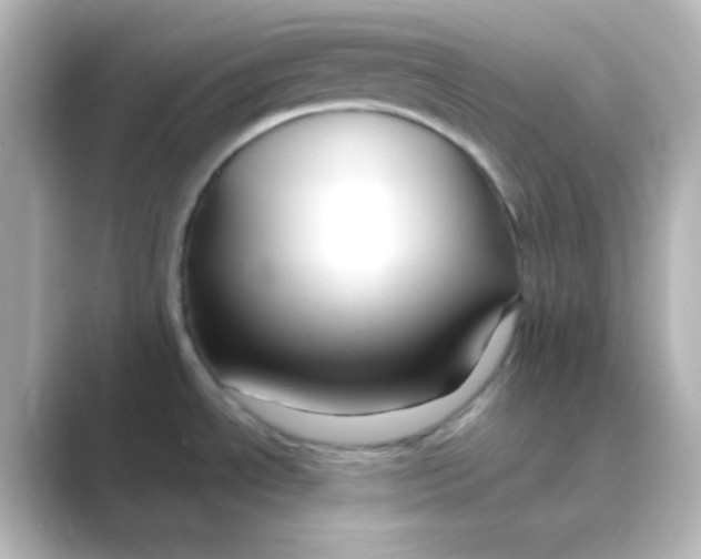 X0000088691534200706211918