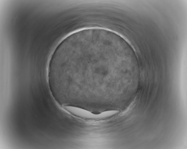 X0000088691535200706211918