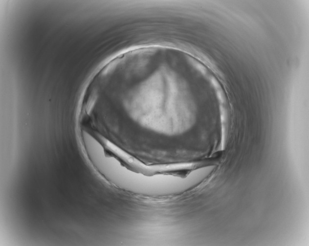 X0000088691536200706211918