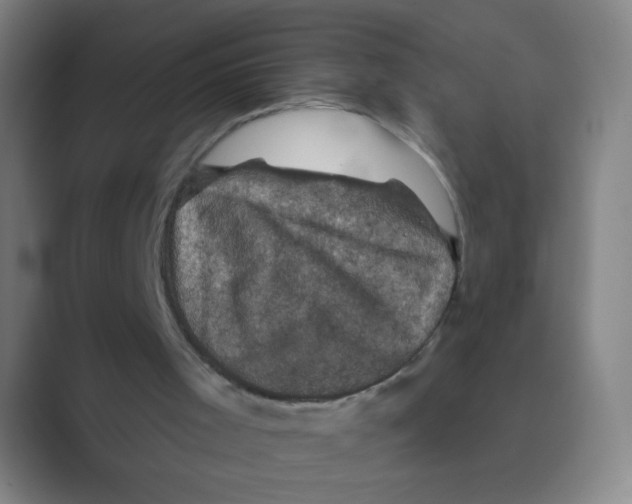 X0000088690001200706282012