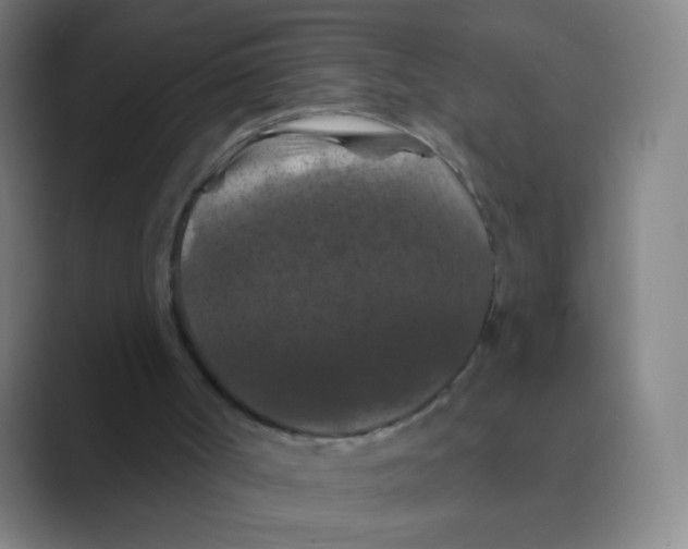 X0000088690002200706282012