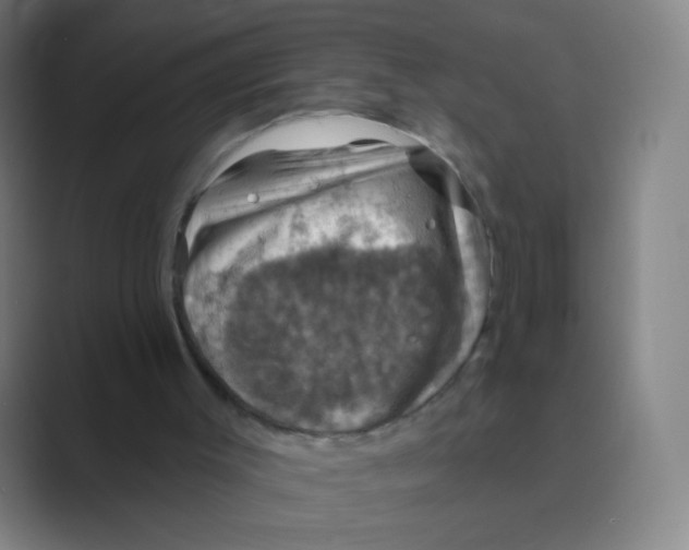 X0000088690003200706282012