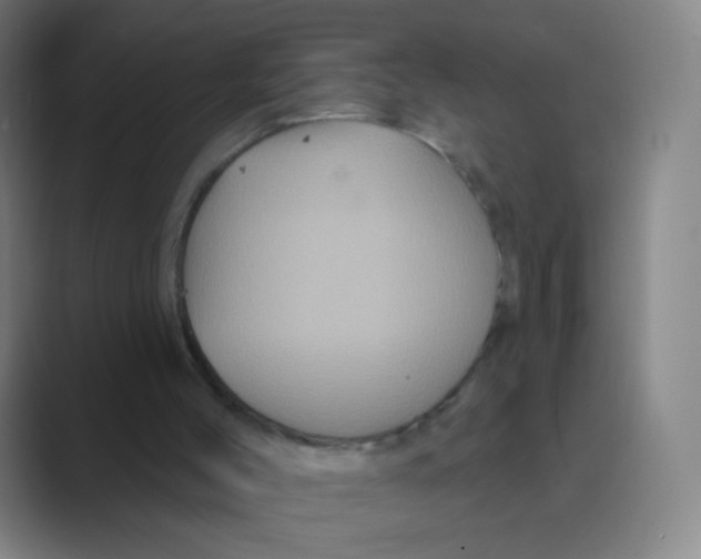 X0000088690004200706282012