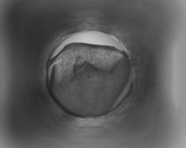 X0000088690005200706282012