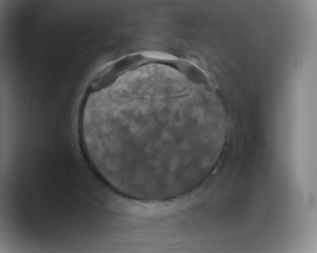 X0000088690006200706282012