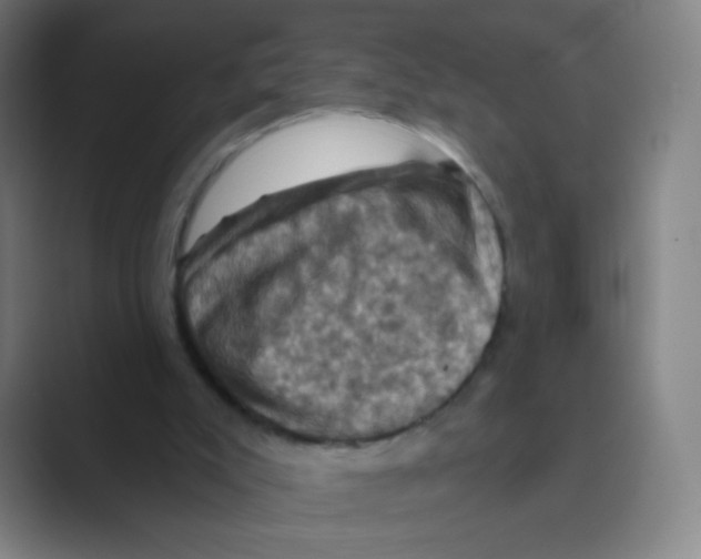 X0000088690007200706282012