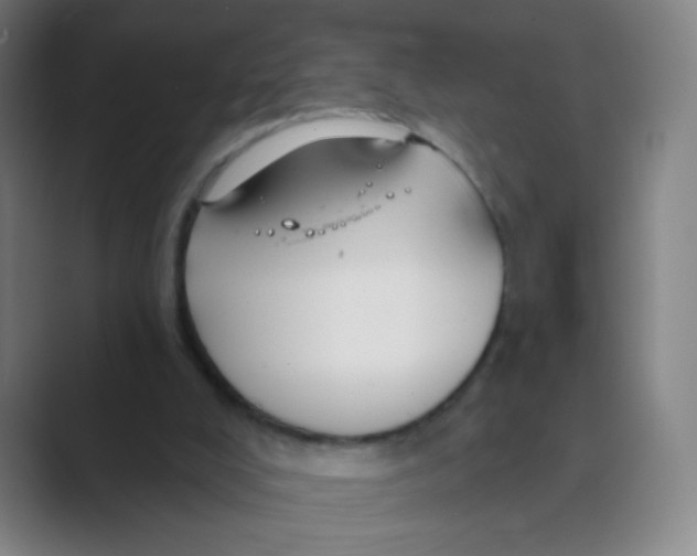 X0000088690008200706282012