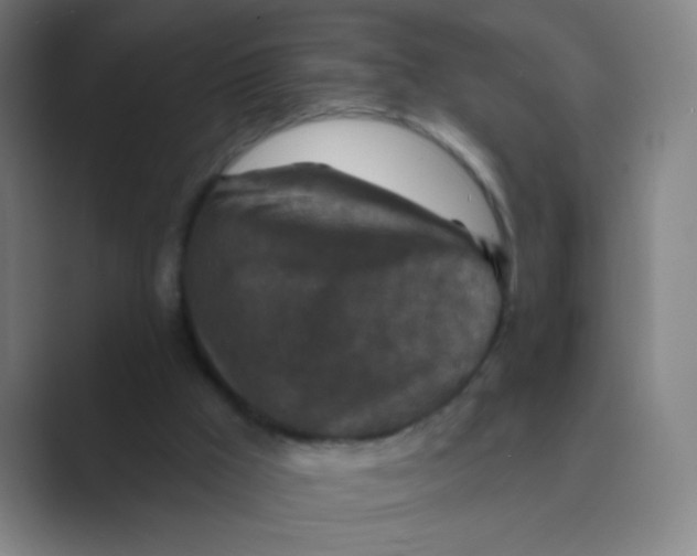X0000088690009200706282012